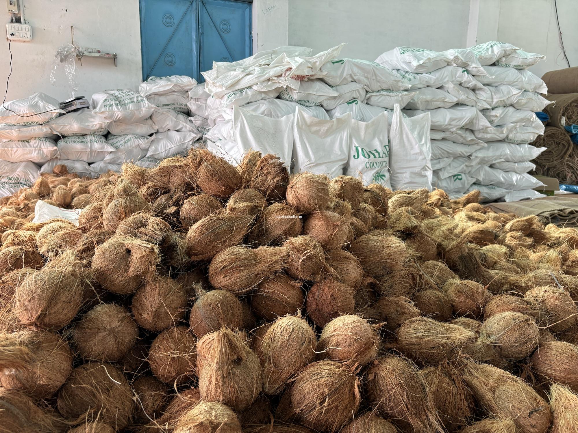 coconut